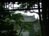 Photo Number 13