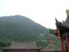 Photo Number 6