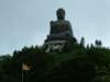 Photo Number 6