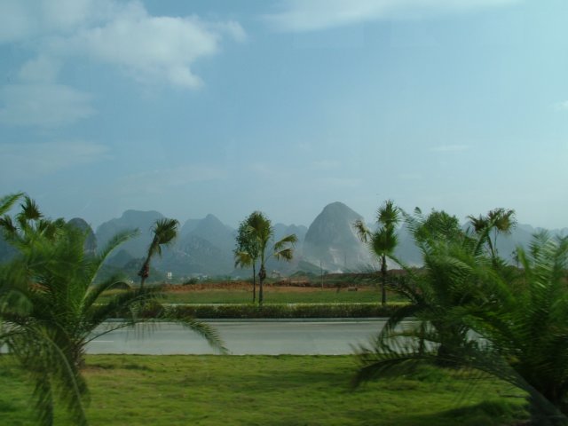 Photograph
