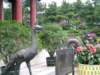 Photo Number 6