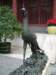 Photo Number 7
