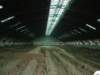 Photo Number 9