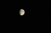 img_8956_small.jpg