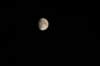 img_8957_small.jpg