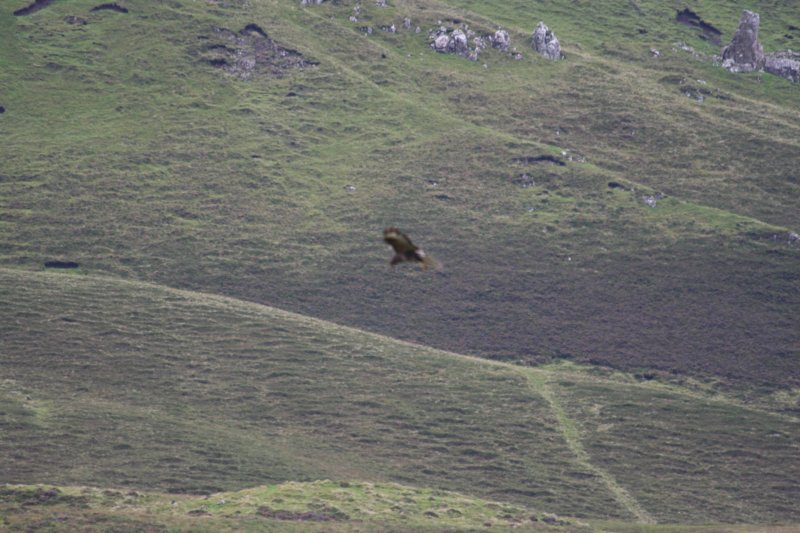 img_9038.jpg