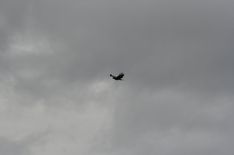img_9040.jpg