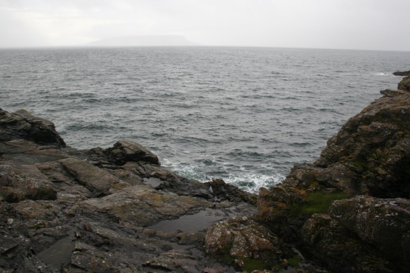 img_9100.jpg
