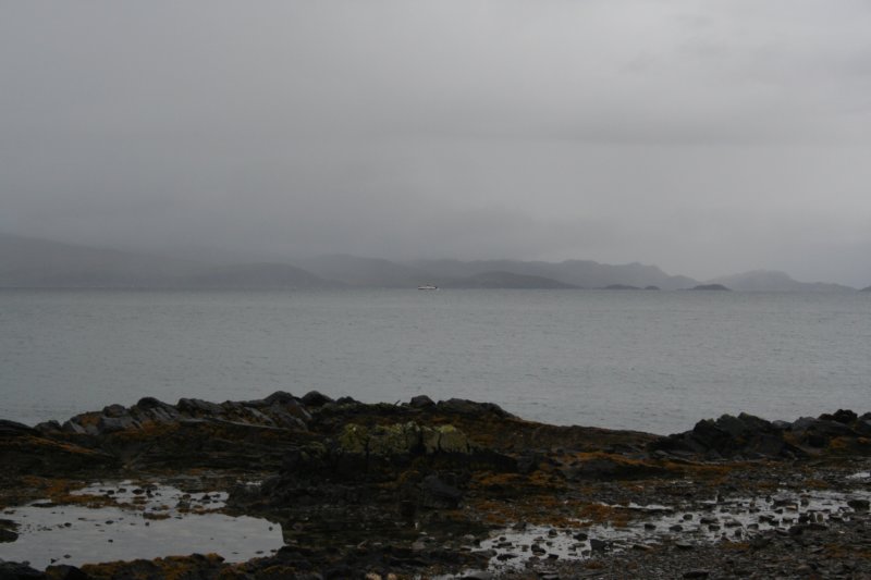 img_9113.jpg