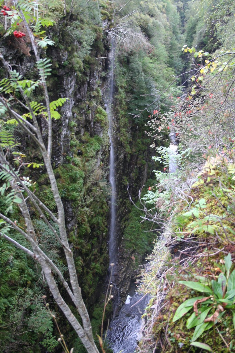 img_9225.jpg