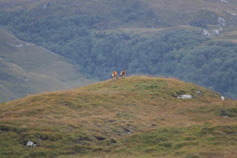 img_9451.jpg