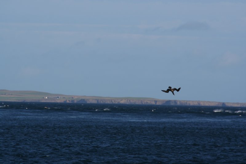 img_9704.jpg