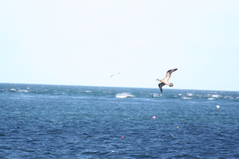 img_9727.jpg